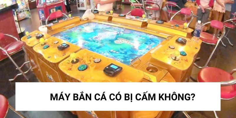 may-ban-ca-co-bi-cam-khong